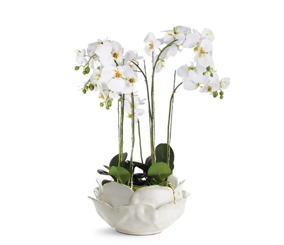 Di Rosa Decorative Bowl - Image 3