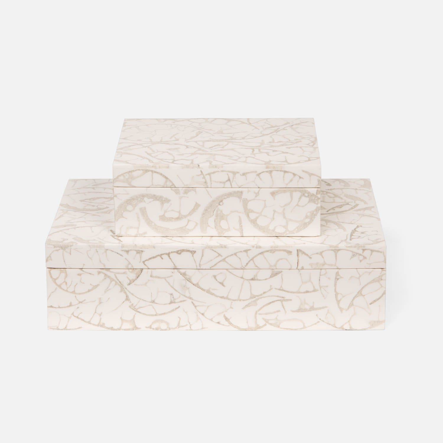 Shell Fossil Boxes- Set of 2