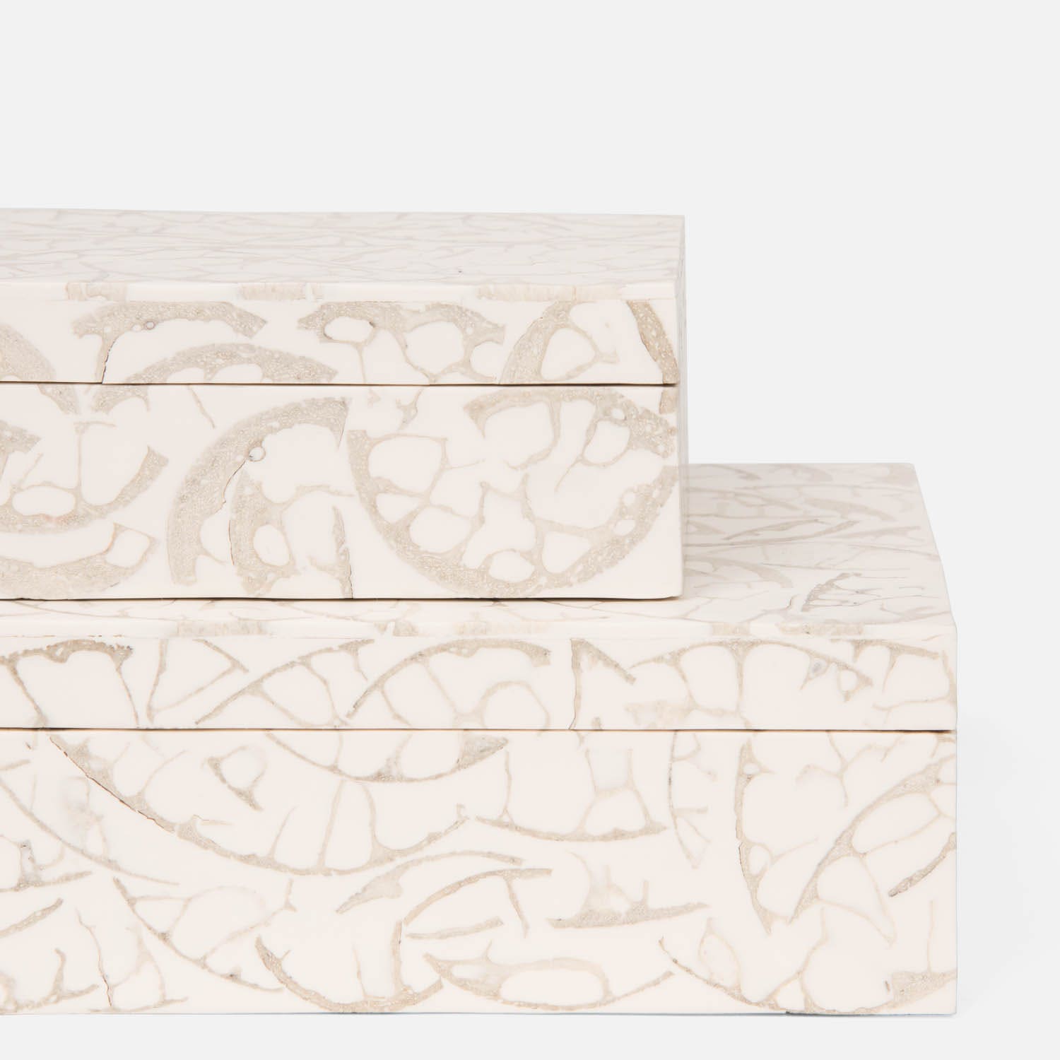 Shell Fossil Boxes- Set of 2 - Image 5