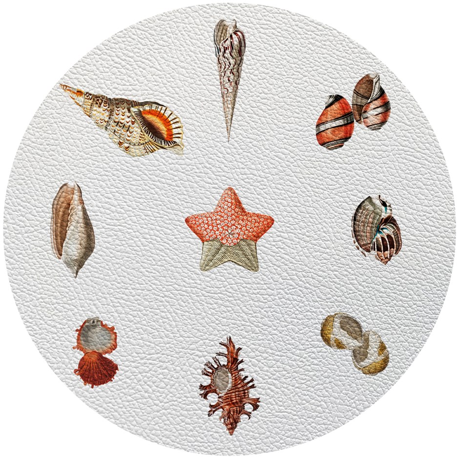 White Sea Bed Placemat Set