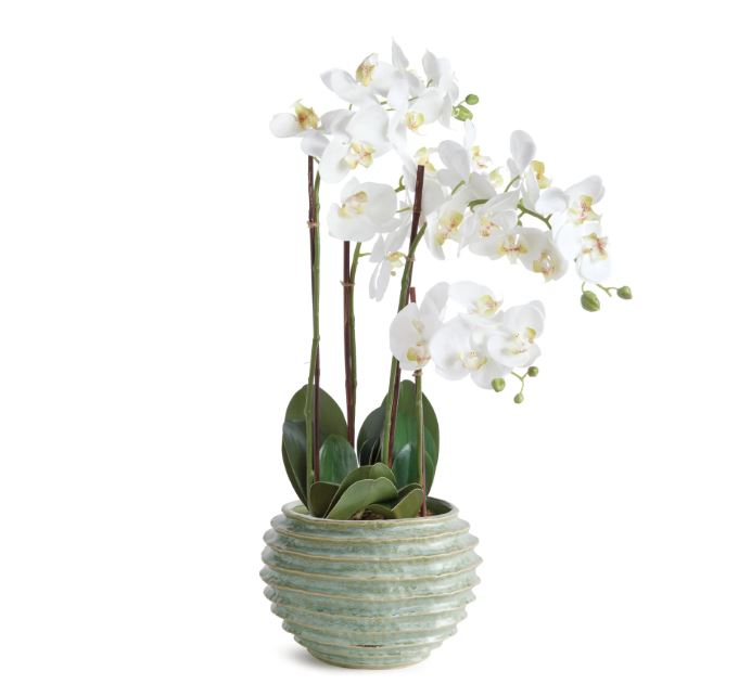 Green Avani Pot- Large - Image 3