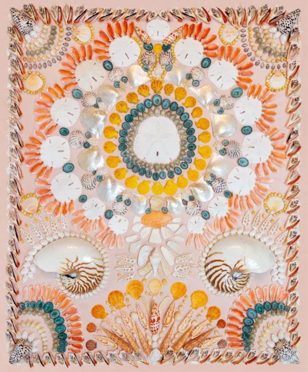 Light Pink Shell II Print