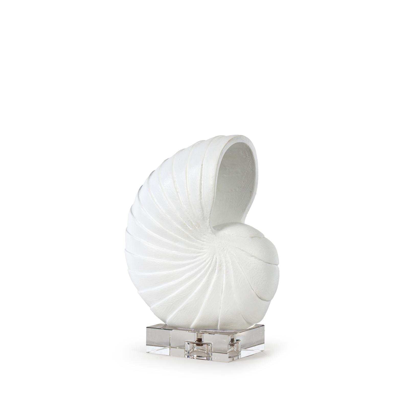 Nautilus Shell Small