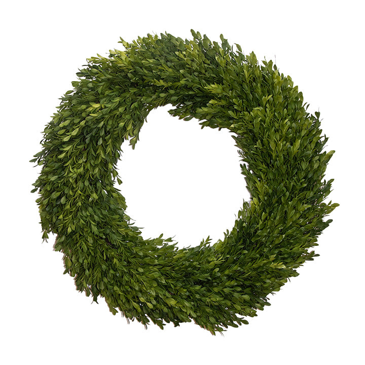 Round Boxwood Wreath-24"